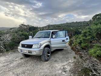 Wycieczka Marathon Jeep Safari - Narodowy Park Akamas z Pissouri